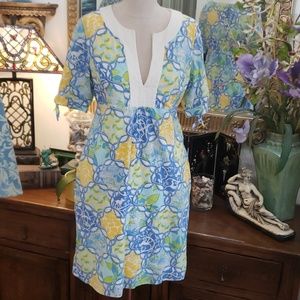 Lilly's Juice Bar Dress